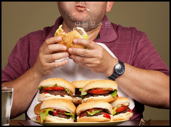 식욕-억제-효과