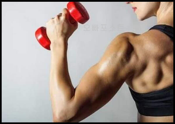 MSM-근육-회복-효과